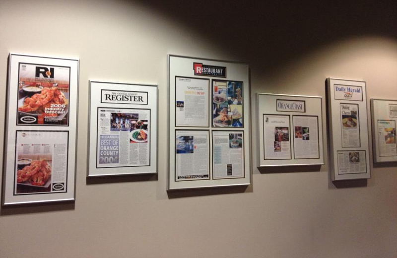 Examples Of Framed Publication Pages